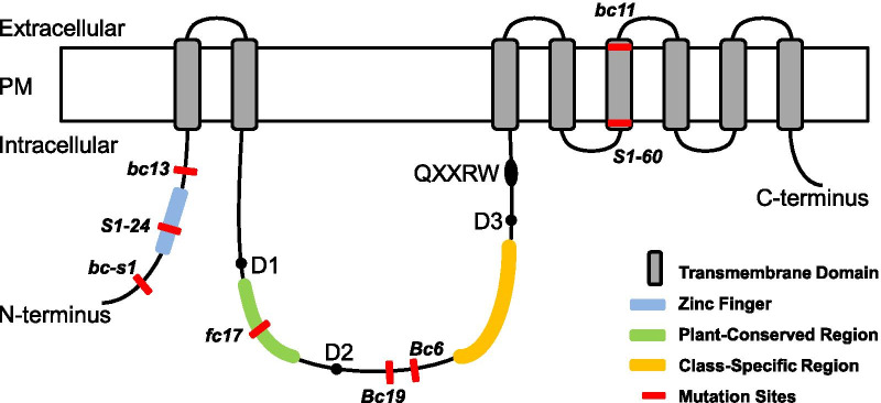 Fig. 7