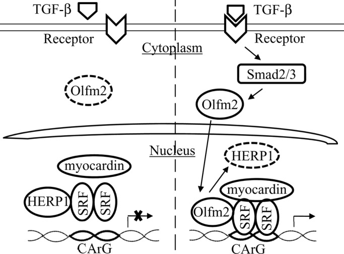 FIGURE 9: