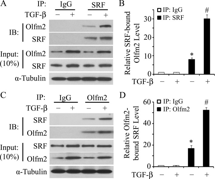 FIGURE 5: