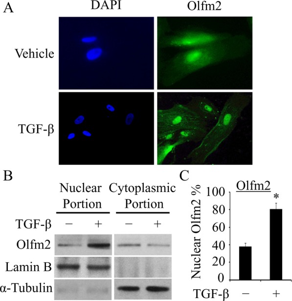 FIGURE 3: