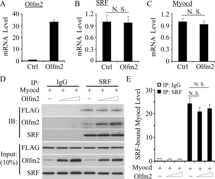 FIGURE 6: