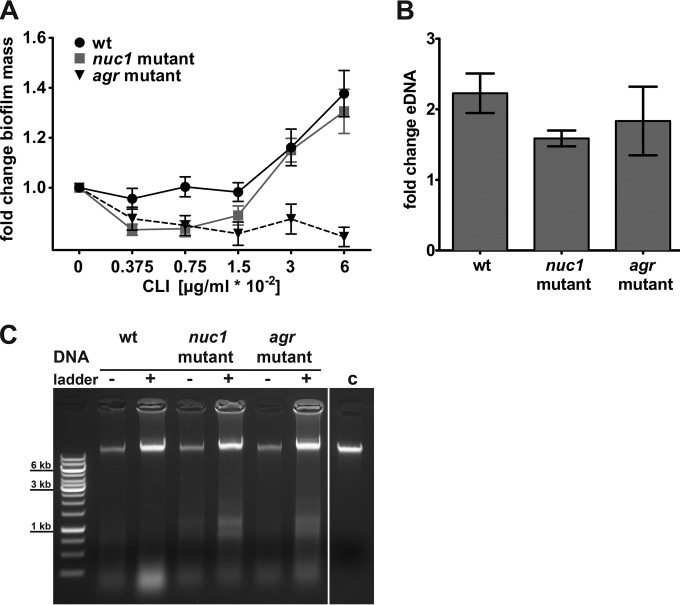 FIG 1