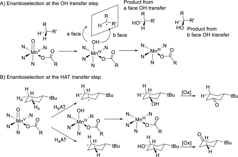 Scheme 5