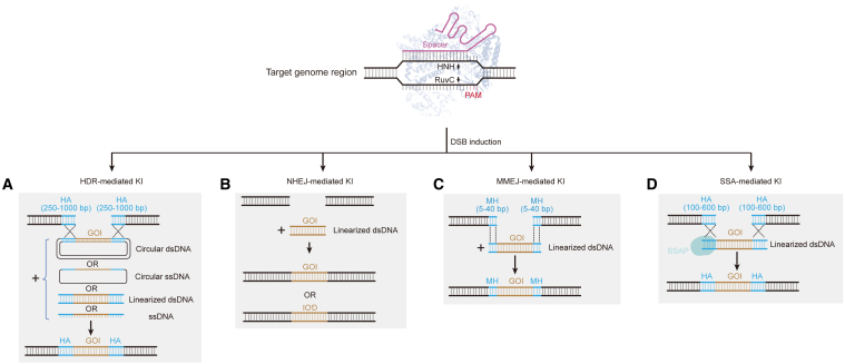 Figure 1