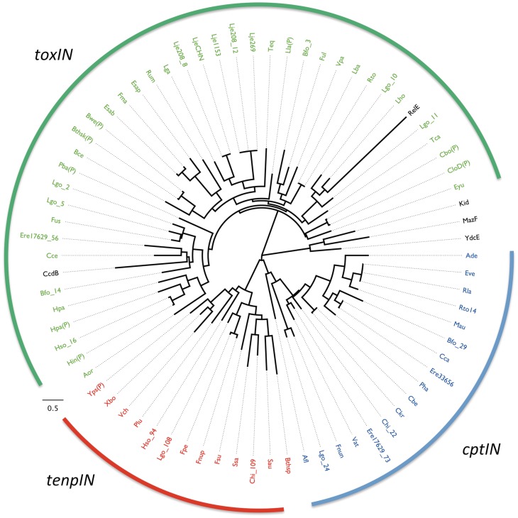 Figure 3.