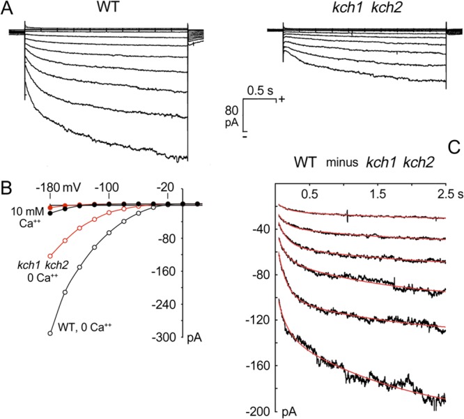 Fig 6