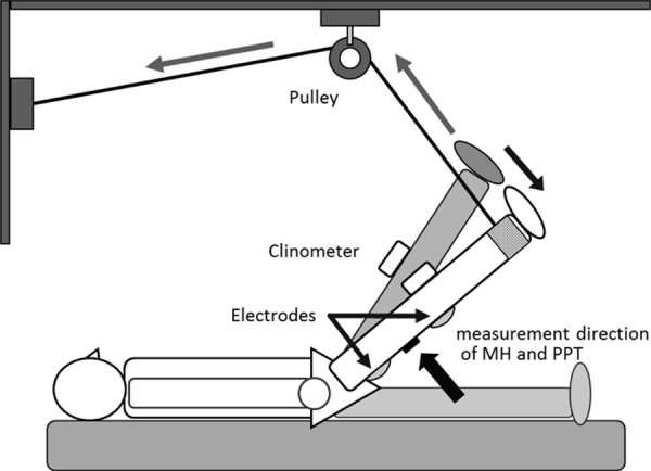 Fig. 1.