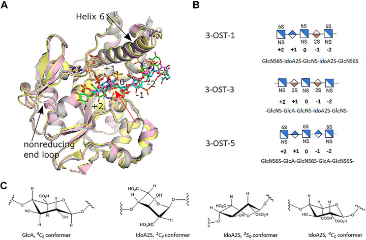 Figure 2.