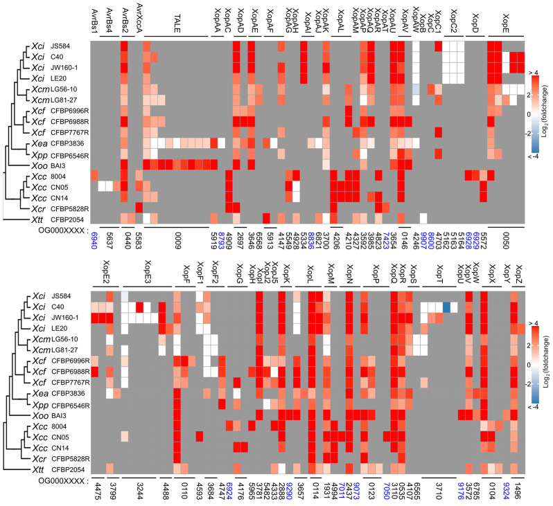 Fig. 4