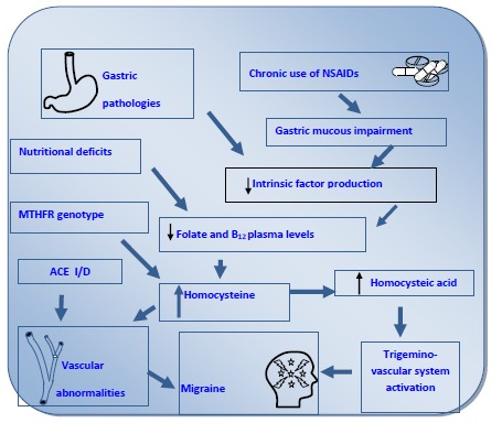 Fig. (1)