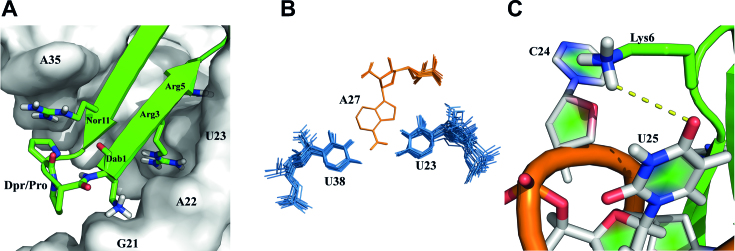 Figure 5.