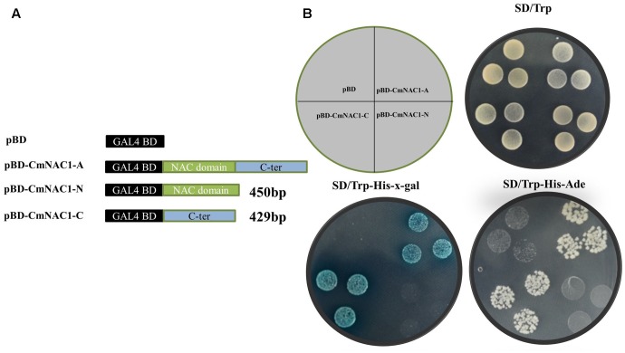 FIGURE 3