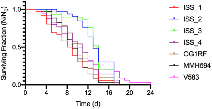 FIGURE 4