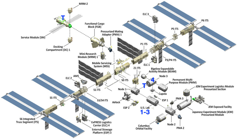 FIGURE 1