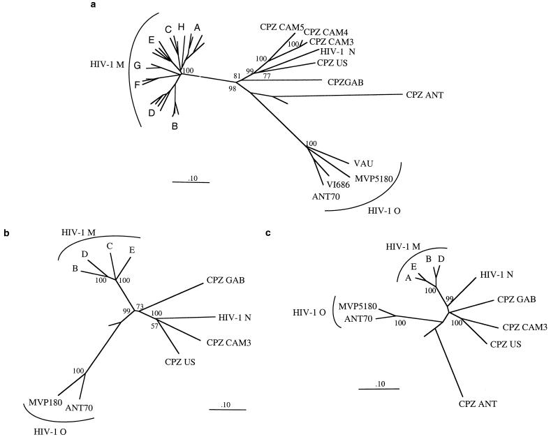 FIG. 1