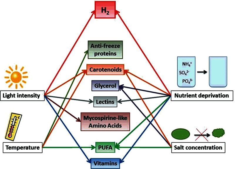 Figure 4. 