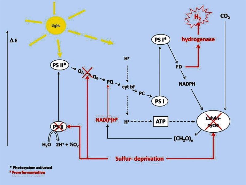 Figure 3. 