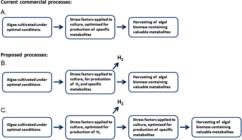 Figure 1. 