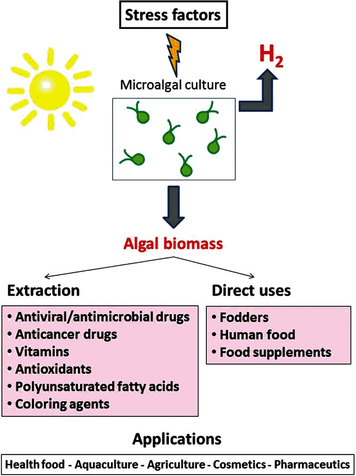 Figure 2. 