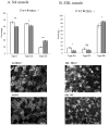 Fig 7