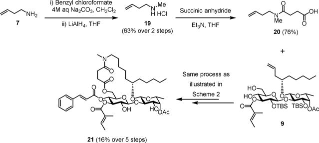 Scheme 3