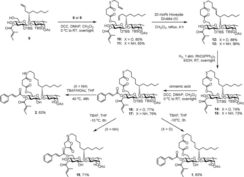 Scheme 2