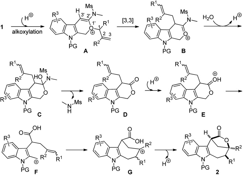 Scheme 3