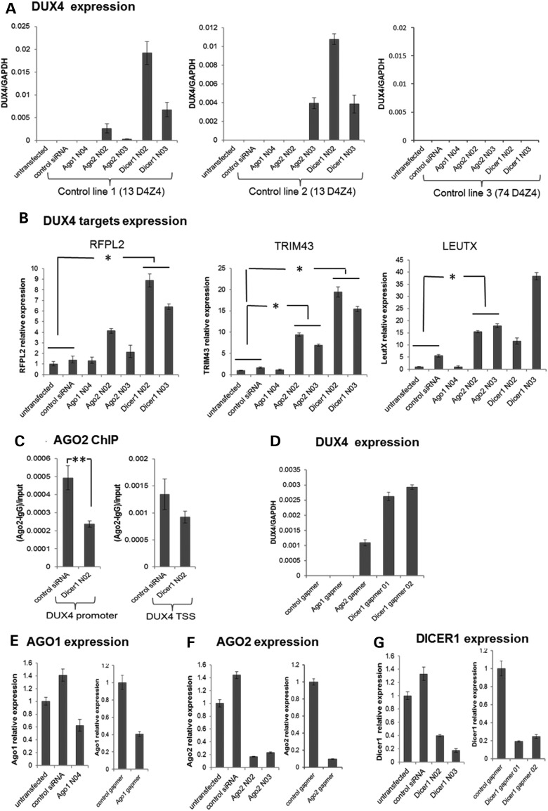 Figure 4.