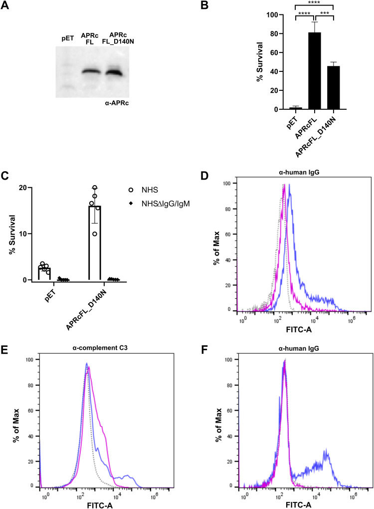 FIG 9