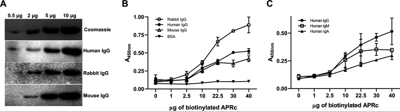 FIG 3