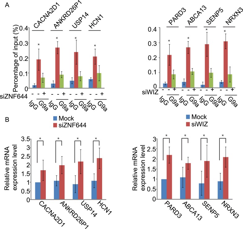 Figure 5—figure supplement 3.