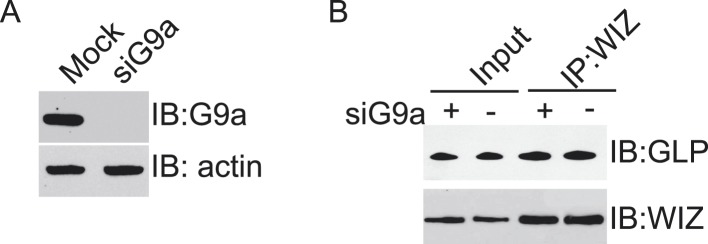 Figure 2—figure supplement 1.