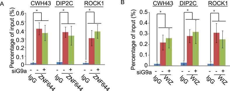 Figure 5—figure supplement 2.