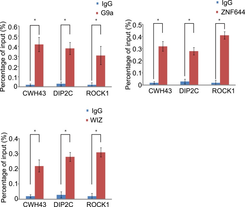 Figure 5—figure supplement 1.