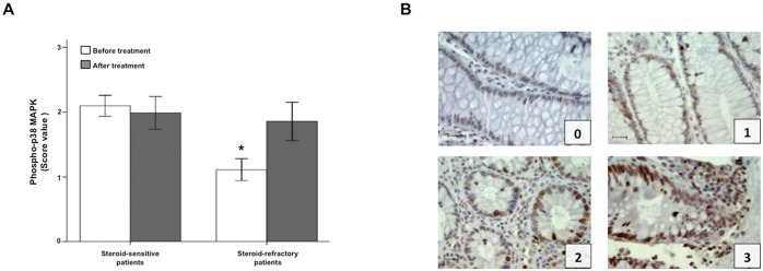 Fig 8