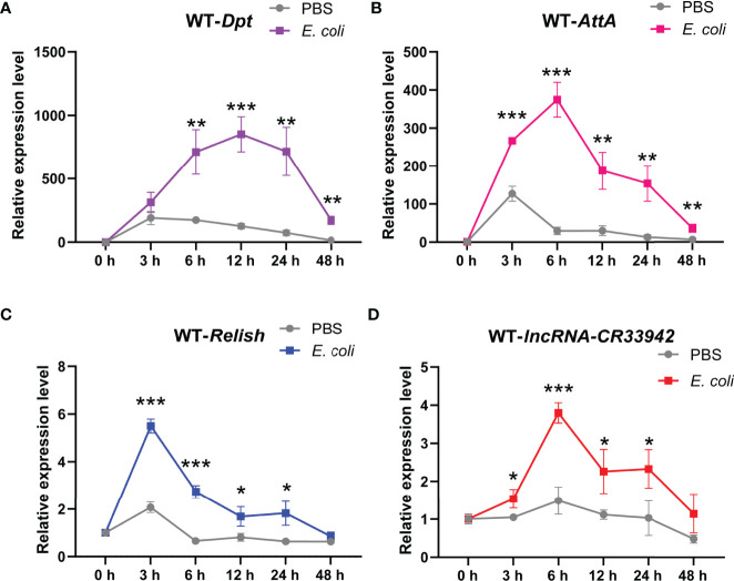 Figure 6