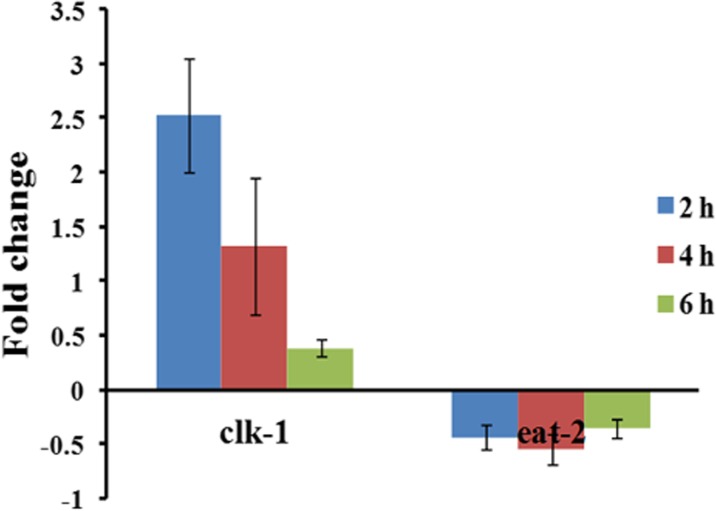 Fig. 3