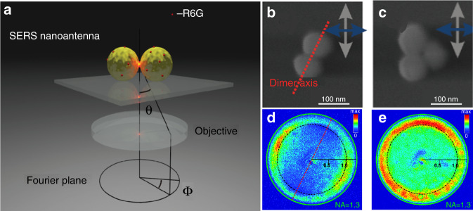 Fig. 10