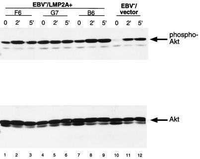 FIG. 5