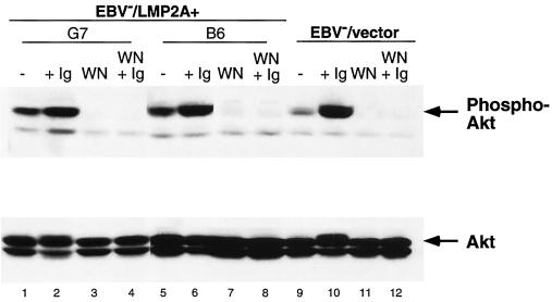 FIG. 6