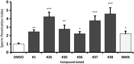 Figure 4