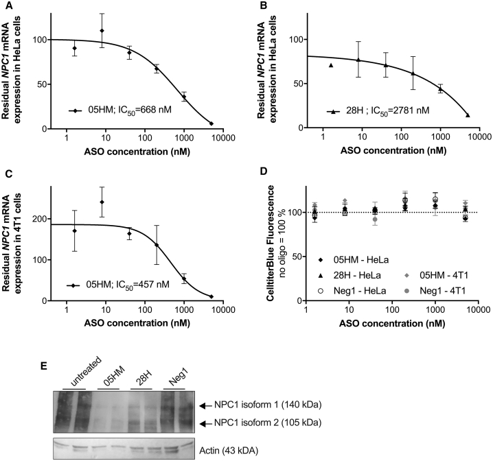 Figure 3