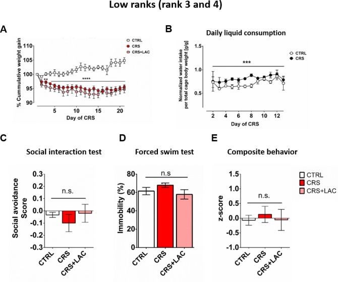 Figure 2—figure supplement 1.