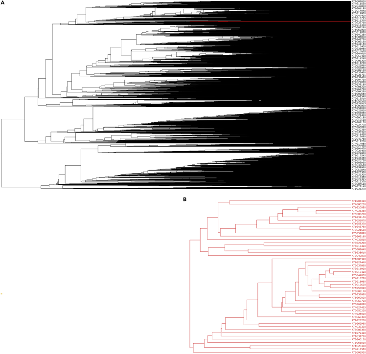 Figure 4