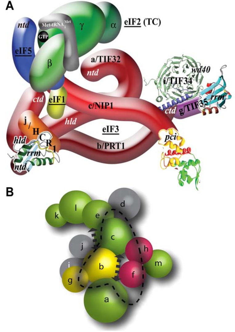 Fig. (5)