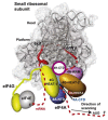 Fig. (8)