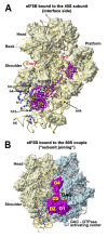 Fig. (9)