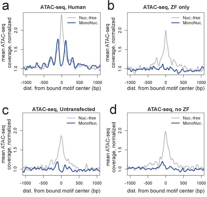 Figure 2—figure supplement 3.