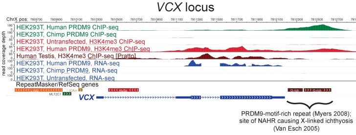 Figure 3—figure supplement 1.