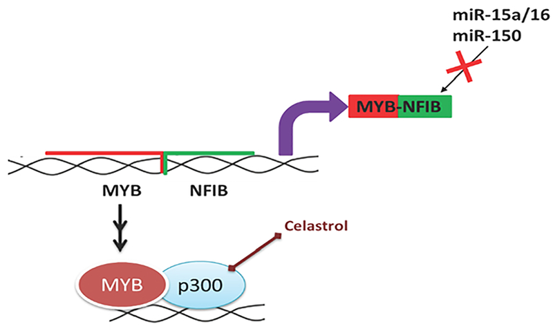 Figure 5: